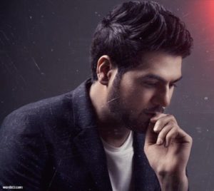 كلمات اغنية ويلي من الود