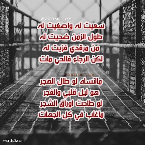 رمزيات شيلة راح العشيق