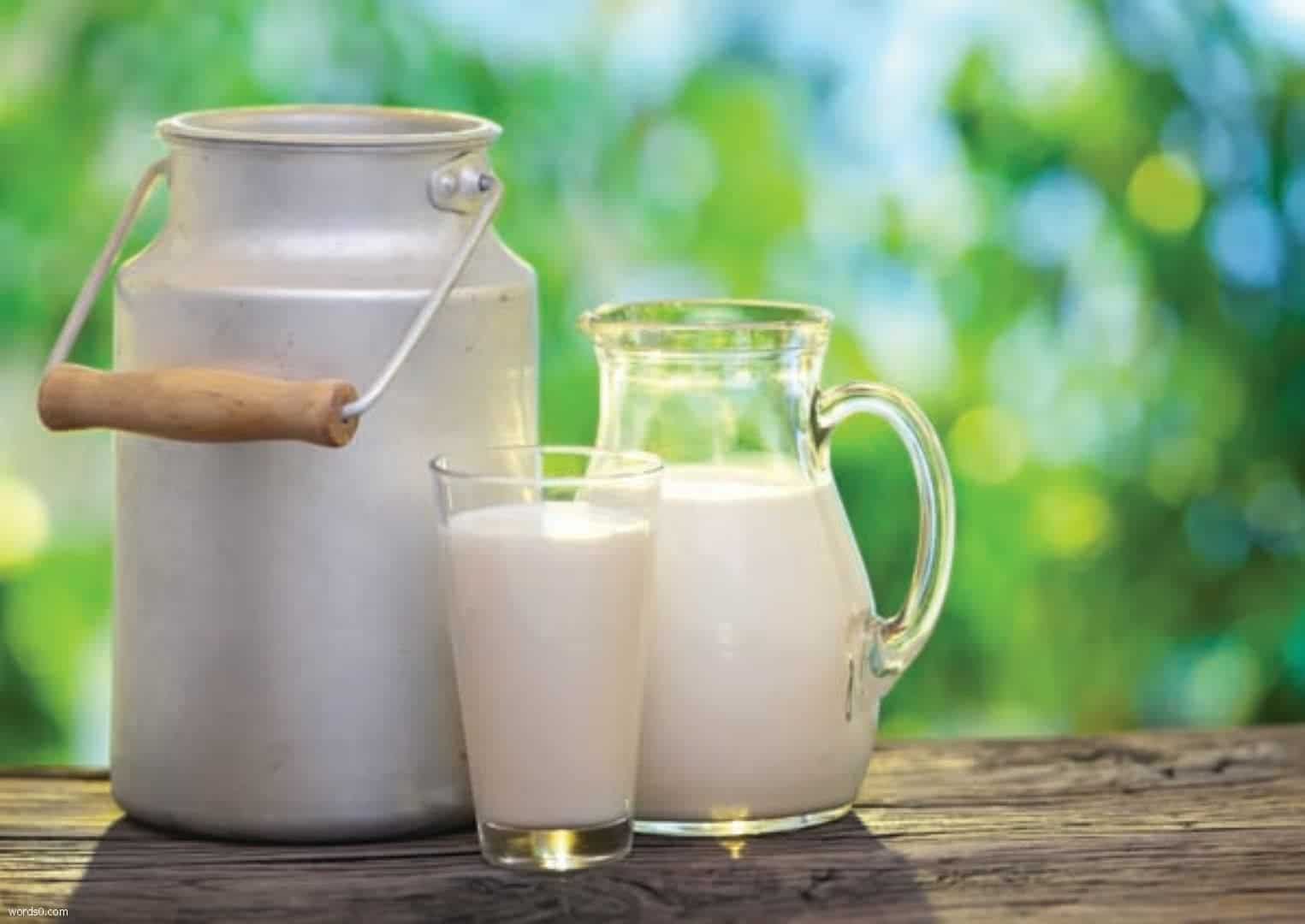 تفسير رؤية او شرب الحليب بالمنام كلمات